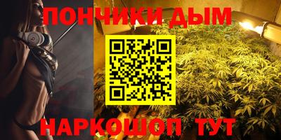 прущие грибы Абакан