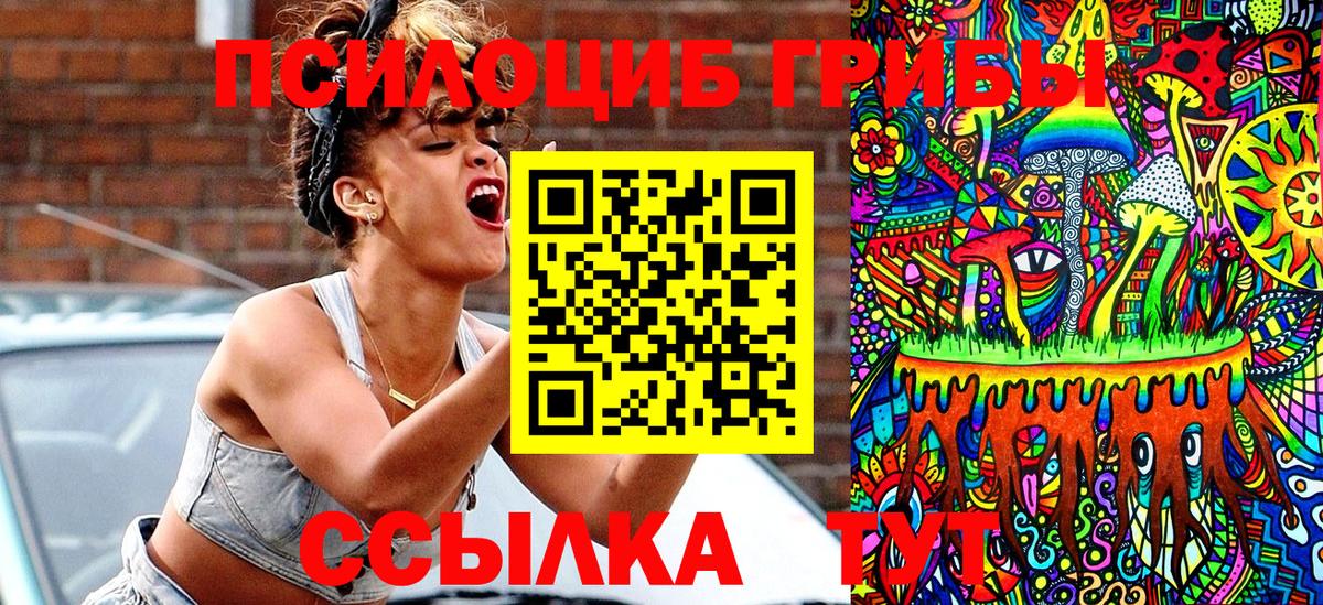 Псилоцибиновые грибы ЛСД Абинск