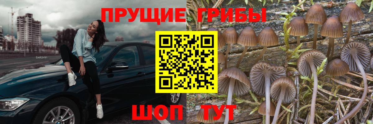 Абинск  Псилоцибиновые грибы мухоморы  Вход с VPN 